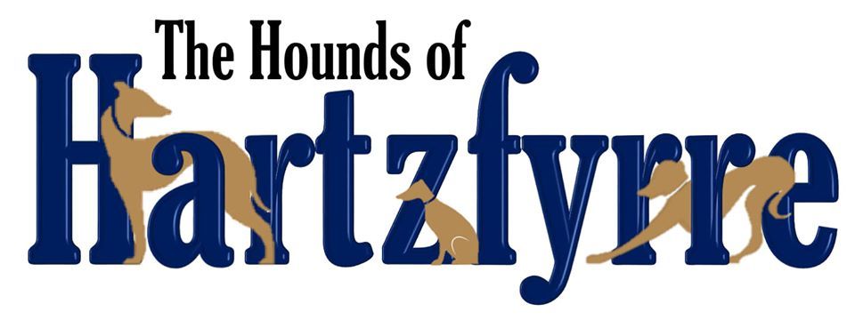 Hartzfyrre Whippets